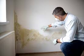 Best Asbestos and Lead Testing During Mold Inspection  in Buckeye Lake, OH